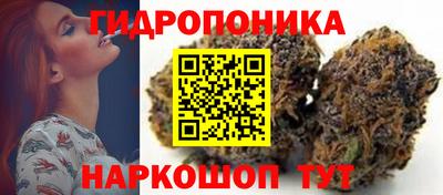 прущие крисы Краснознаменск