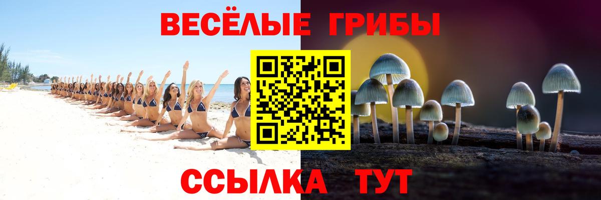 Галлюциногенные грибы Psilocybe  Вход с VPN  Ирбит  Псилоцибиновые грибы прущие грибы 
